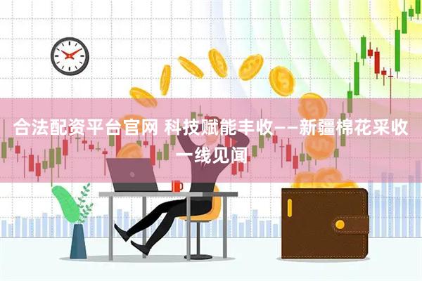 合法配资平台官网 科技赋能丰收——新疆棉花采收一线见闻