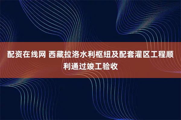 配资在线网 西藏拉洛水利枢纽及配套灌区工程顺利通过竣工验收