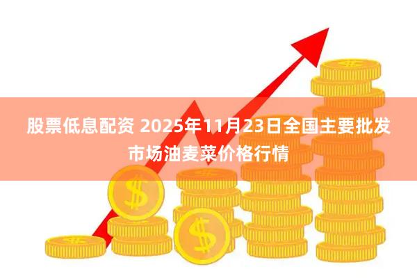 股票低息配资 2025年11月23日全国主要批发市场油麦菜价格行情