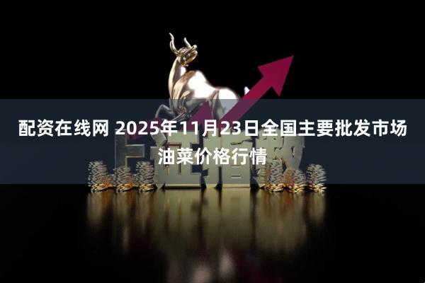 配资在线网 2025年11月23日全国主要批发市场油菜价格行情