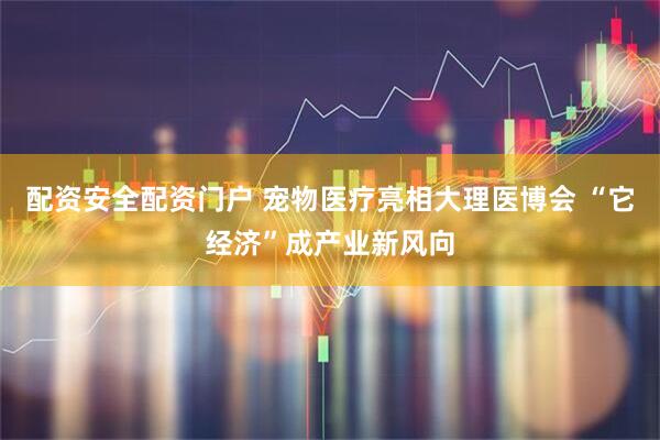 配资安全配资门户 宠物医疗亮相大理医博会 “它经济”成产业新风向